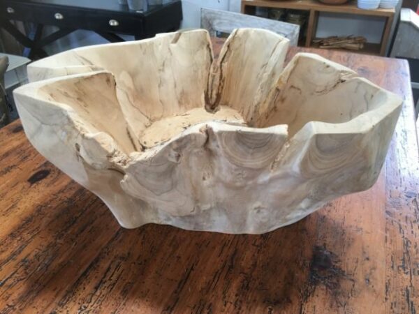 Teak Wood Root Planter Bowl Blonded