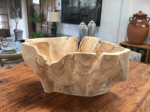 Teak Wood Root Planter Bowl Blonded