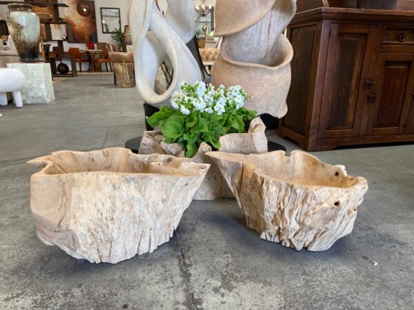 Teak Wood Root Planter Bowl Blonded