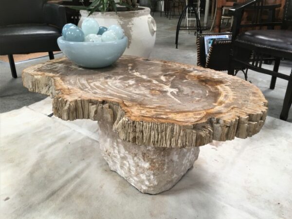 Petrified wood Coffee table W Rustic Base 1250×700